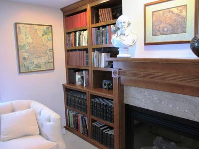 Bookcase and Fireplace